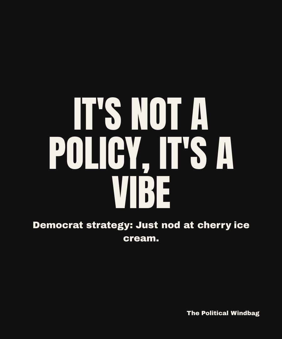 IT'S NOT A POLICY, IT'S A VIBE
